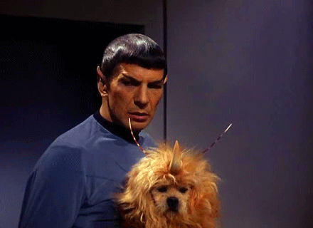 Spock segurando um cachorro alienígena.